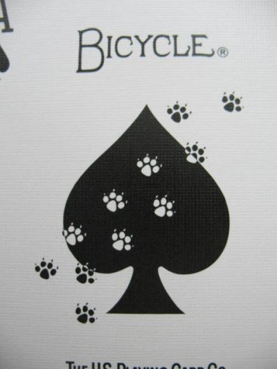 画像3: Bicycle SILVER TRACE Deck