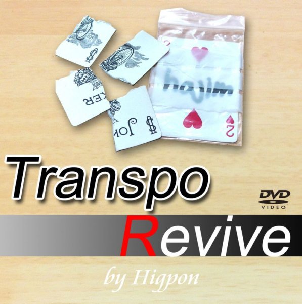 画像1: Transpo Revive (1)