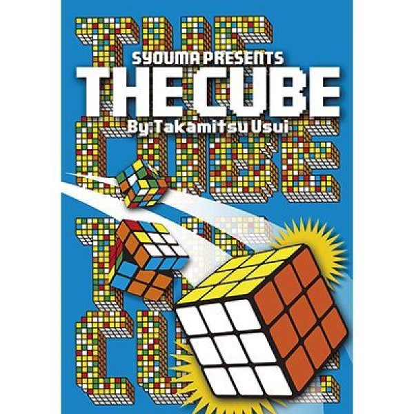 画像1: The Cube by Takamitsu Usui (1)