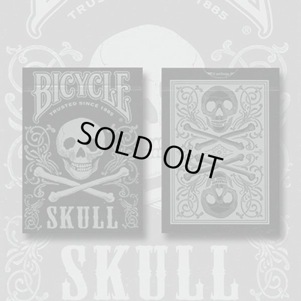 画像1: Bicycle Skull Metallic (Silver) (1)