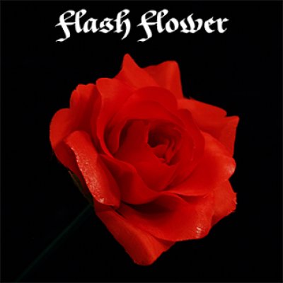 画像3: Flash Flower (2pk.)