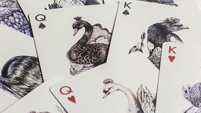 画像3: Bicycle AVES Uncaged Playing Cards