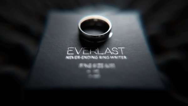 画像1: EVERLAST (1)