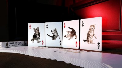 画像3: Bicycle Sweet Cat Playing Cards