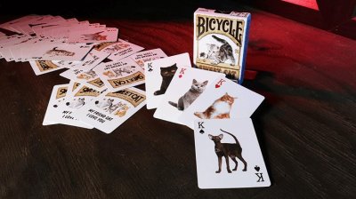 画像1: Bicycle Sweet Cat Playing Cards