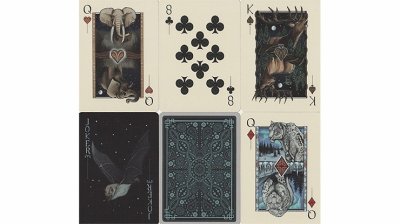 画像3: GAIA Playing Cards