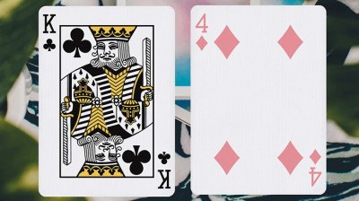 画像3: Malibu Playing Cards by Toomas Pintson