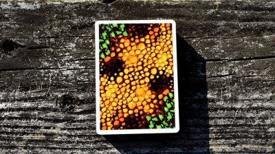 画像1: Kameleon (Yellow) Playing Cards