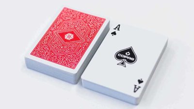 画像2: COPAG 310 Playing Cards