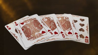 画像3: Bicycle Syndicate Playing Cards