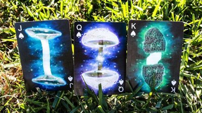 画像2: Limited Edition Fungi Mystic Mushrooms Mycological Playing Cards