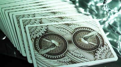 画像3: Bicycle Limited Edition Gyrfalcon Playing Cards