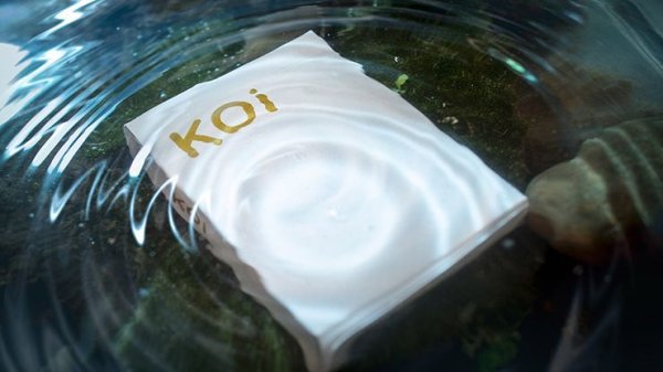 画像1: Koi V2 Playing Cards (1)