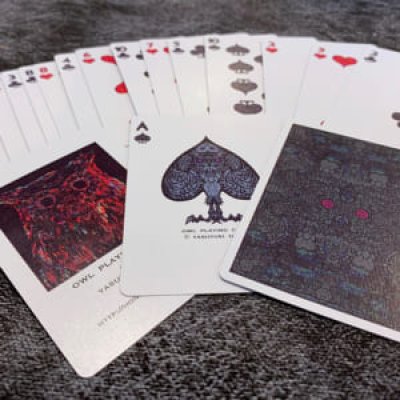 画像2: BICYCLE OWL PLAYING CARDS