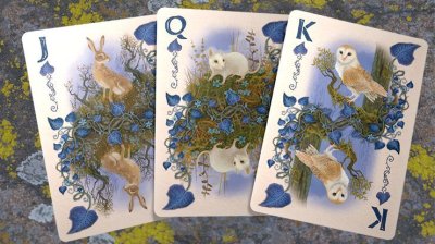 画像2: Faunae Vibrant Edition Playing Cards