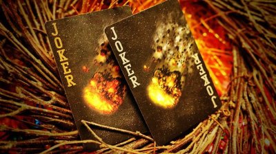 画像2: Bicycle Asteroid Playing Cards