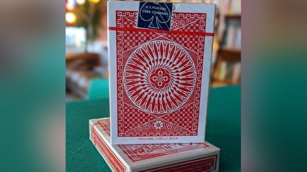 画像1: Experts Thin Crushed Tally Ho Circle Back Playing Cards (1)