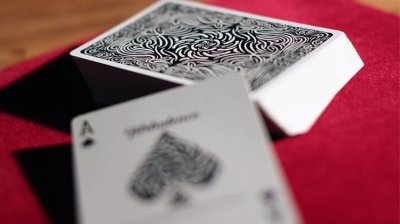 画像2: Turbulence Playing Cards