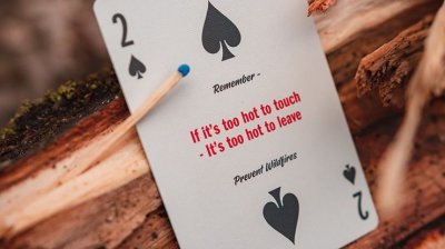 画像2: Smokey Bear Playing Cards