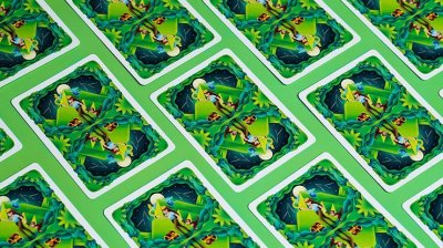 画像3: Adventure Playing Cards by Riffle Shuffle