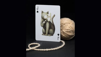 画像3: Cabinetarium Playing Cards by Art of Play