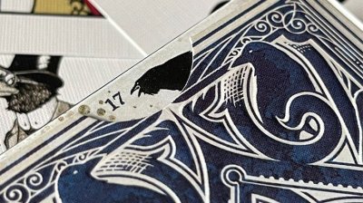 画像3: RAVEN IIII Playing Cards Designed by Stockholm17