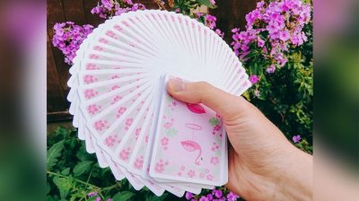 画像3: Wild Playing Cards