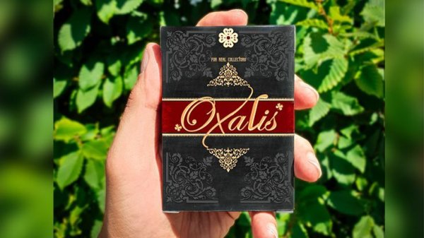 画像1: Oxalis Playing cards (1)