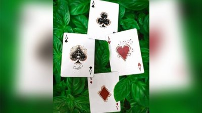 画像2: Oxalis Playing cards