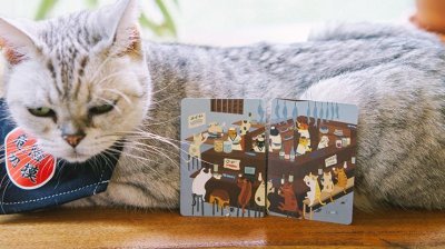 画像3: Meow Star Playing Cards by Bocopo