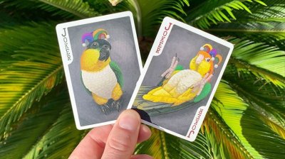 画像1: Bicycle Parrot Playing Cards