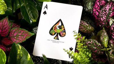 画像1: 2021 Summer Collection Jungle Playing Cards by CardCutz 