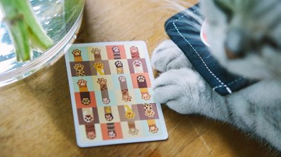 画像2: Meow Star Playing Cards by Bocopo