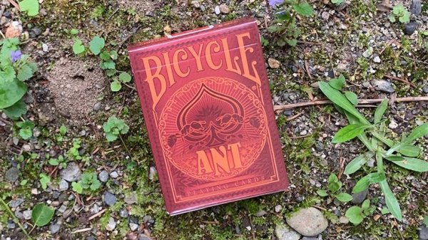 画像1: Bicycle Ant Playing Cards (1)