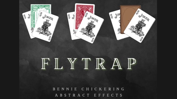 画像1: Fly Trap (Gimmicks and Online Instructions)  (1)