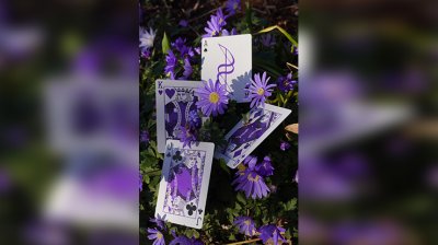 画像1: Dream of Butterflies by YD Cards