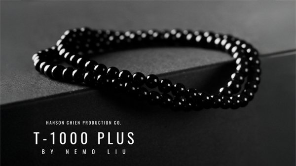 画像1: T-1000 Plus by Nemo and Hanson Chien (1)