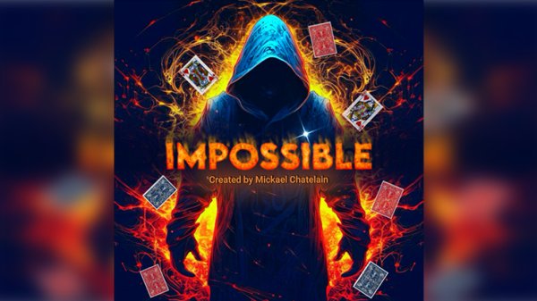 画像1: IMPOSSIBLE by Mickael Chatelai (1)